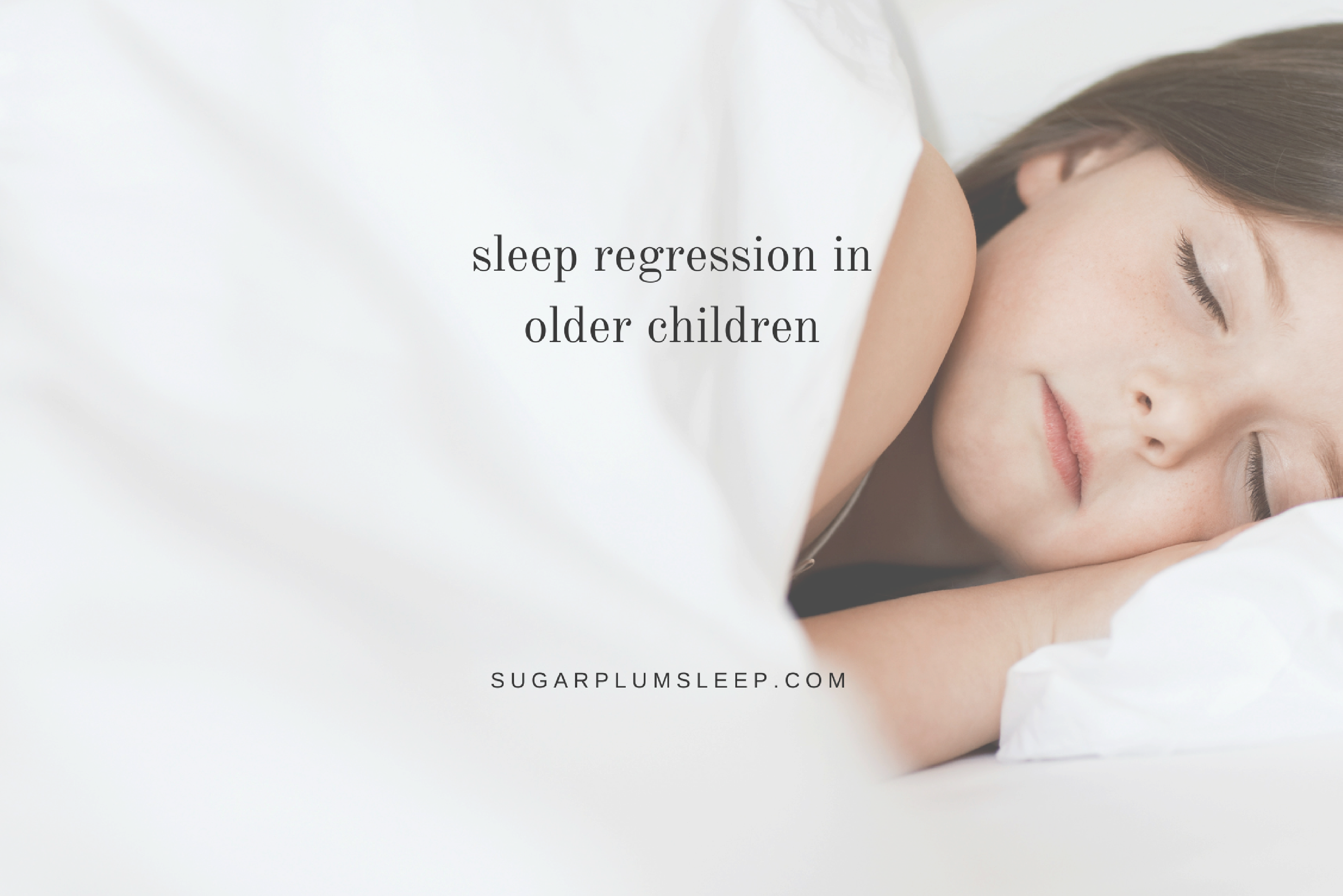 sleep regression